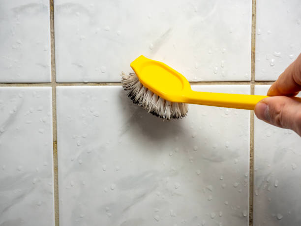 Best Same-Day Mold Removal  in Hilton, NY