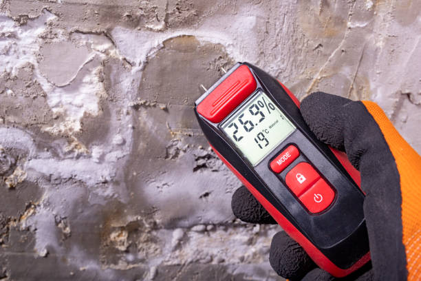 Best Emergency Mold Removal  in Hilton, NY