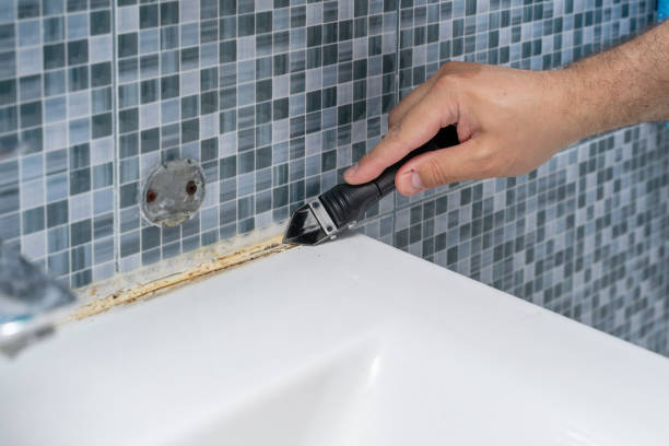 Trusted Hilton, NY Mold Removal Experts