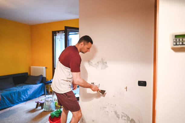 Best Best Mold Removal Companies  in Hilton, NY
